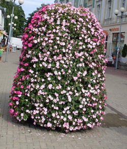 Цветочная пирамида, <MAKE_KW>бальзамин</MAKE_KW>